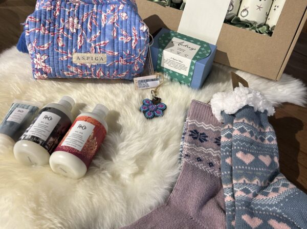 Wilton Village Christmas Giveaway – Competition Details