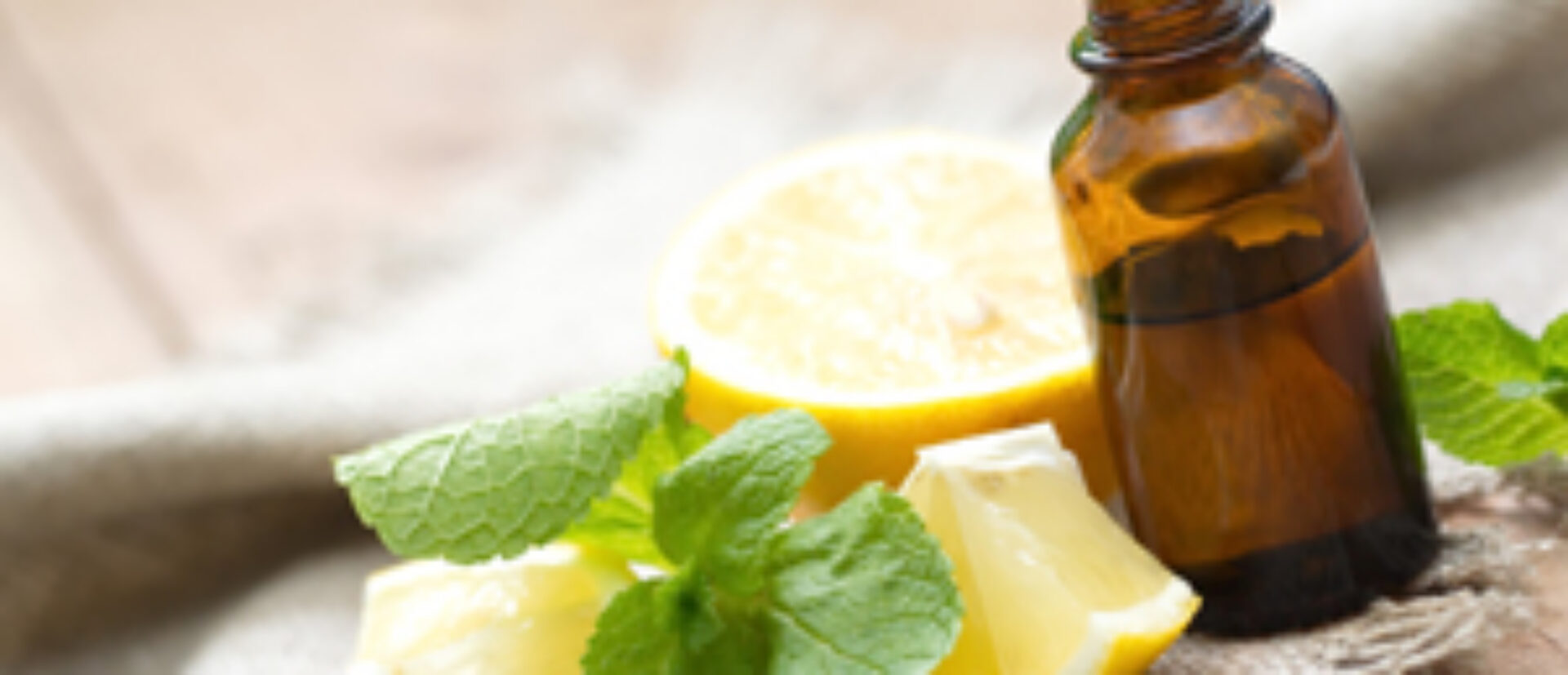 A Calm Corner at Wilton Village – Aromatherapy